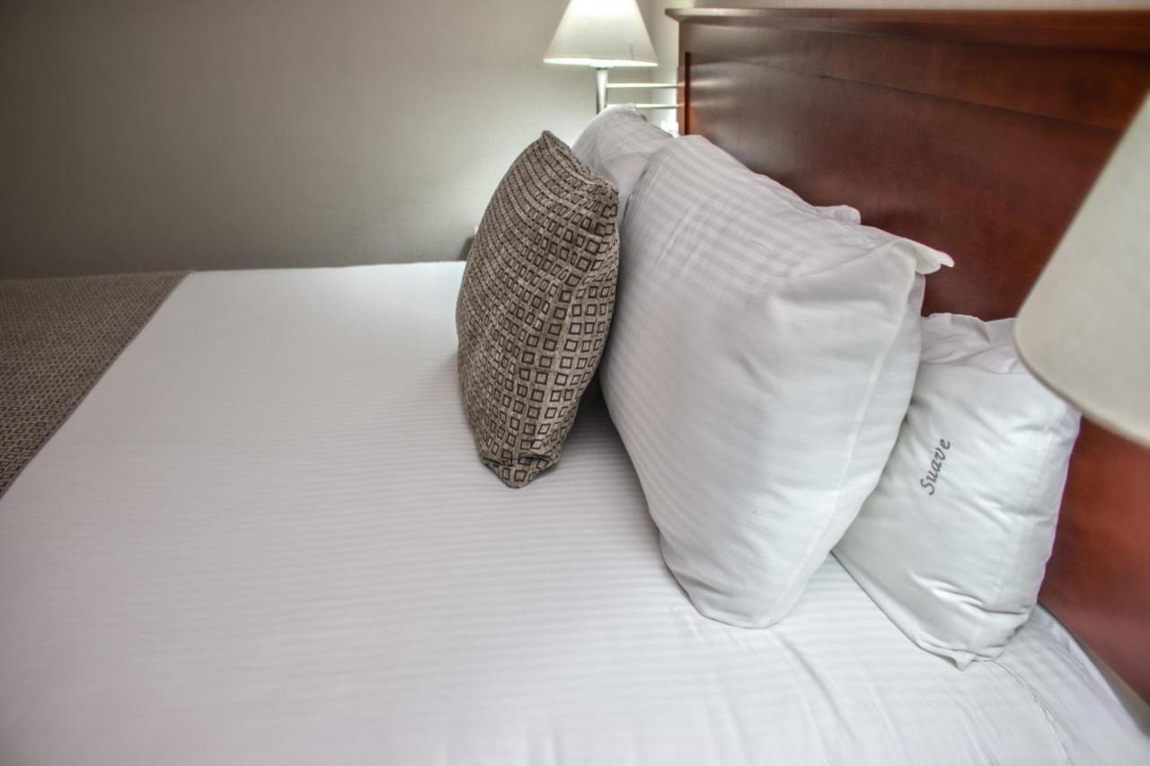 Casa Inn Business Hotel Celaya Exterior photo
